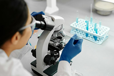 Blood Work & Lab Tests